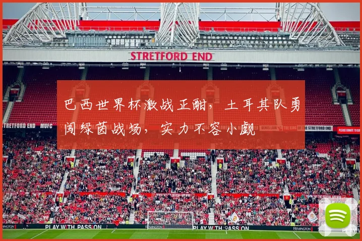 巴西世界杯激战正酣，土耳其队勇闯绿茵战场，实力不容小觑